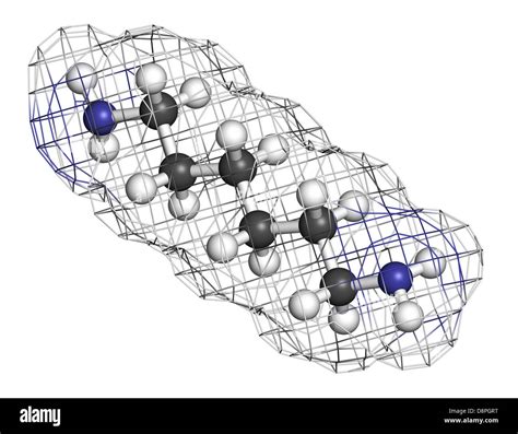 Hexamethylenediamine: La brique de base polyvalente pour les polyamides et autres merveilles industrielles!